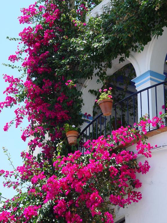Pierre & Vacances Mojacar Playa Екстер'єр фото